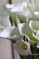 bukiet Kalli w szklanym wazonie, 30szt, wys.71cm 