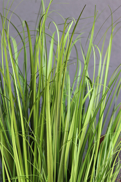 Trawa Latem Saute, sztuczna trawa w stretchu