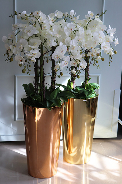 Golderia Side 2, elegancki storczyk podłogowy w złotej donicy, wys.130cm 