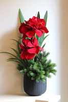 Amarylis Black Modern, świąteczna kompozycja z czerwonymi kwiatami