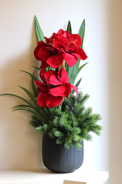 OD RĘKI Amarylis Black Modern, świąteczna kompozycja z czerwonymi kwiatami, wys.64cm 