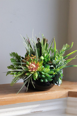 Zielony Dom 2, kompozycja sukulenty w okrągłej donicy, wym.22x33cm 