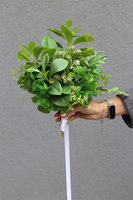 Green Love, bukiet kwiatowy do ręki