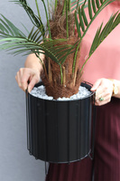 Palma Thaiti Black, sztuczna roślina w ozdobnej donicy