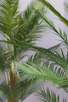 palma Greentia Slim Fiberglass White, sztuczna palma w lśniącej donicy, wys.180cm 