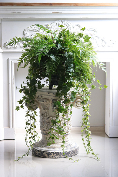 Amazonia, zielona kompozycja w donicy na nóżkach