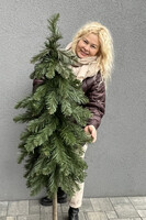 Christmas Pines C, dekoracyjna choinka sztuczna w jucie, wys.160cm