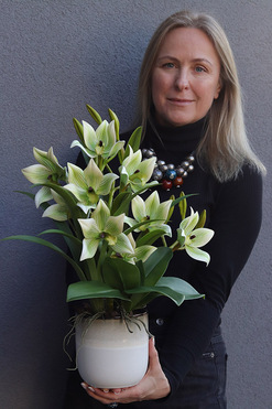 Harlow Green, gumowy storczyk w donicy, wys.52cm