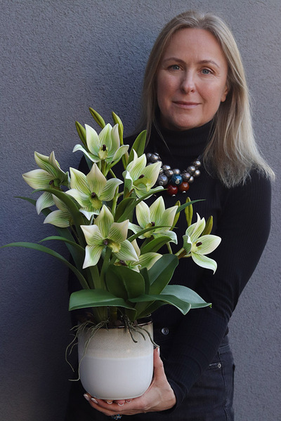 Harlow Green, gumowy storczyk w donicy