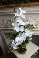 Golden Ren, kompozycja ze storczyków