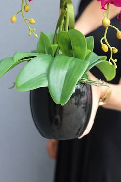 Fuksja Nemia, sztuczny storczyk w czarnej doniczce, wys.59cm  