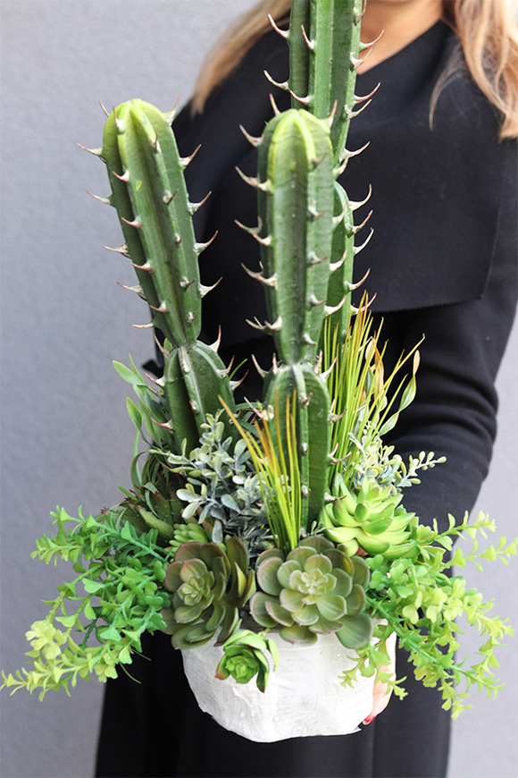 Cacti Saute B, sukulenty z kaktusem w stretchu, wys.68cm