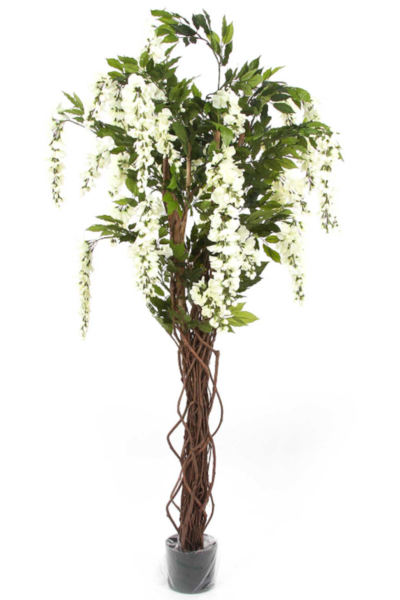 Wisteria Biała, sztuczna roślina w plastikowej osłonce, wys.150cm