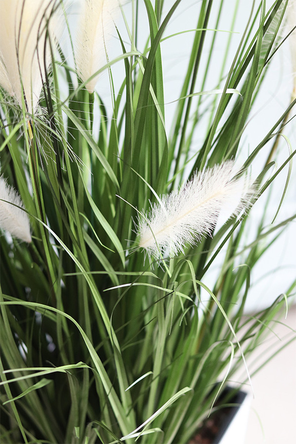 Dania Cube White, kompozycja z traw pampasowych w kwadratowej donicy, wys.118cm