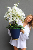 Blue Moon 2, biały sztuczny storczyk w niebieskiej donicy