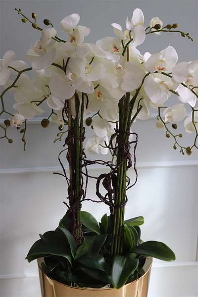 Golderia Side 2, elegancki storczyk podłogowy w złotej donicy, wys.130cm 