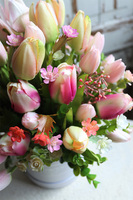 flowerbox z tulipanami, Modeno, wys.39cm