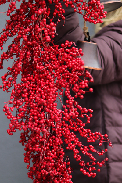 Czerwona Zima, girlanda z owoców, dł.110cm