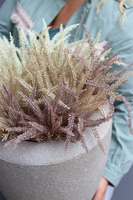 Wrzosowisko Creme, wrzosy w ceramicznej donicy