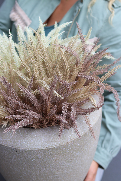 Wrzosowisko Creme, wrzosy w ceramicznej donicy