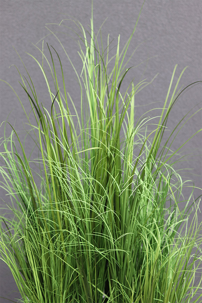 Fiberglass Quartet, sztuczne trawy w białej donicy