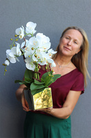 Złota Dolina, sztuczny storczyk w donicy kwadratowej duży, wys.55cm