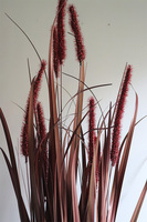 Reddania sztuczna trawa kwitnąca w donicy