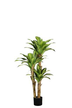 Dracena Szerokolistna, wysokiej jakości sztuczna roślina, wym.120cm 