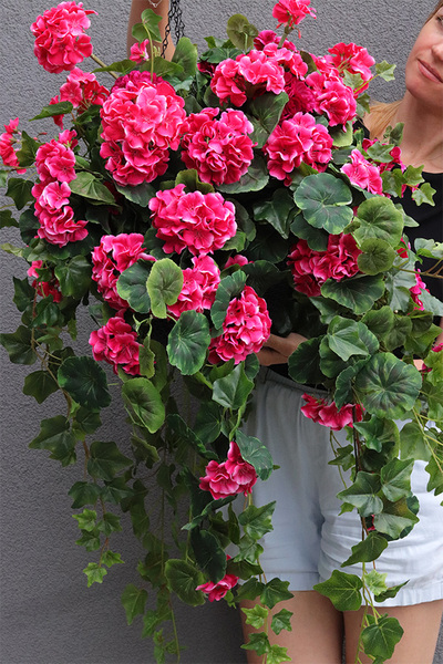 kwiaty w wiszącej donicy