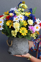 Volcan, kompozycja w ozdobnej osłonce