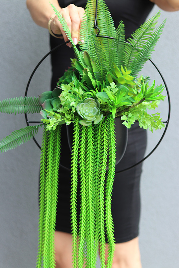 Black Longia, kompozycja sukulenty w Twojej wiszącej donicy, śr.33cm