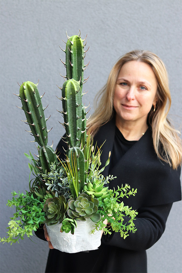 Cacti Saute B, sukulenty z kaktusem w stretchu, wys.68cm