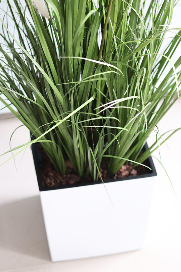 Dania Cube White, kompozycja z traw pampasowych w kwadratowej donicy, wys.118cm 