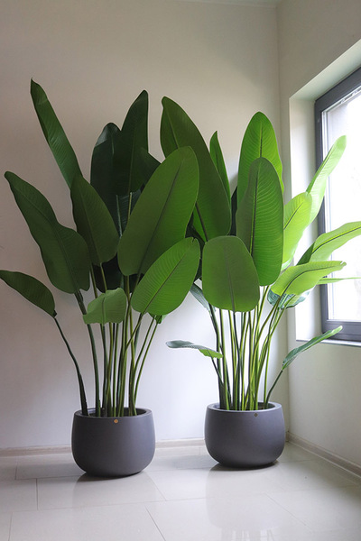 Bananowiec Walter, sztuczna roślina w donicy fiberglass