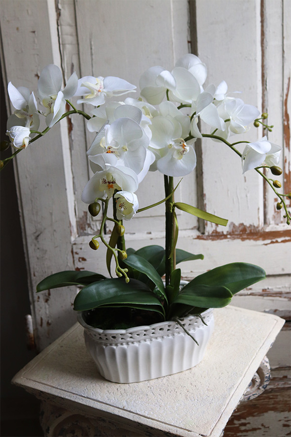 Nefalo, sztuczny storczyk w ceramicznej ażurowej donicy, wys.50cm