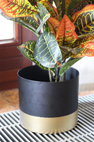 Kroton Black&Gold, sztuczna roślina w doniczce