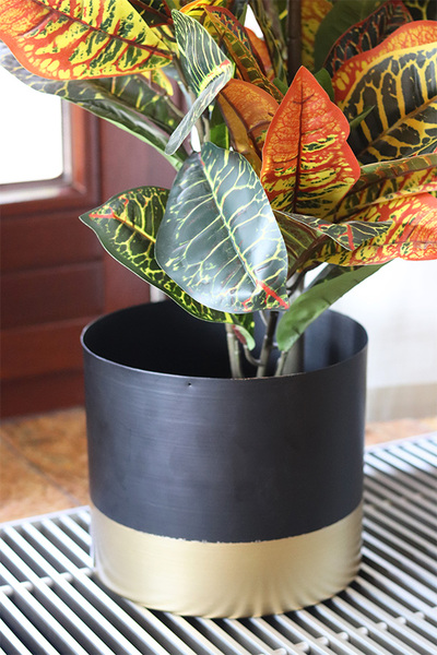 Kroton Black&Gold, sztuczna roślina w doniczce