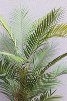 Palma Thaiti Black, sztuczna roślina w ozdobnej donicy