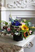 Leonia, kompozycja kwiatowa w naczyniu