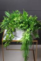 Krelia Saute, sukulenty do twojej donicy