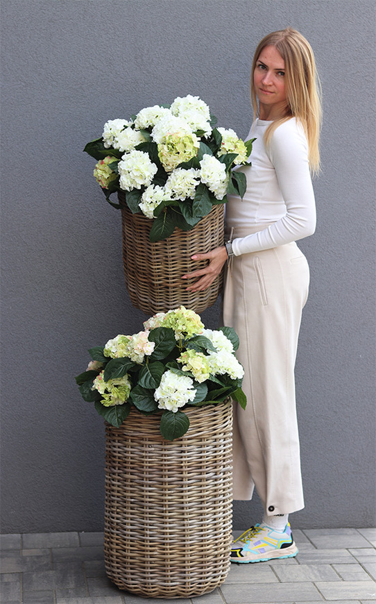 La France C, kompozycja z hortensji w koszu