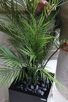 Palma Fiberglass, sztuczna roślina w czarnej donicy