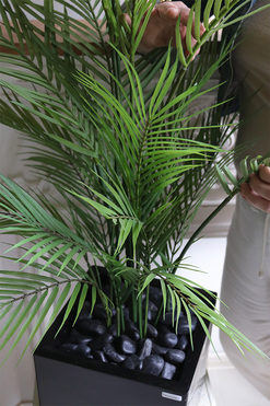 Palma Fiberglass, sztuczna roślina w czarnej donicy, wys.135cm