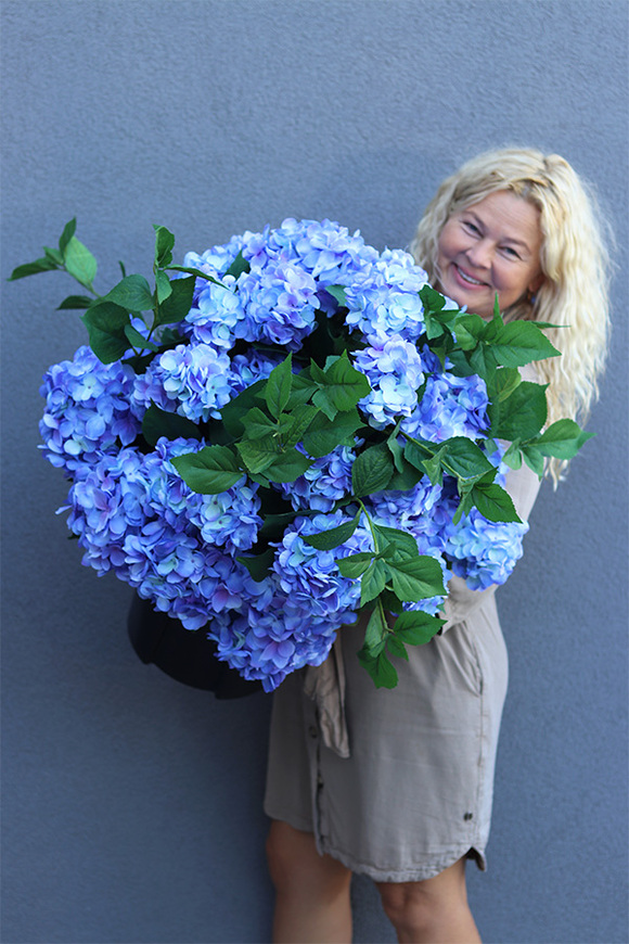 Hortensja Blue Saute, kwiaty we wkładzie do twojej donicy