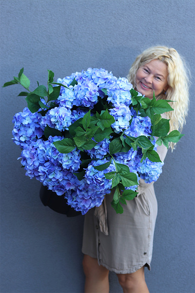 Hortensja Blue Saute, kwiaty we wkładzie do twojej donicy