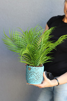 Simple Borneo, sztuczna palma w ceramicznej donicy