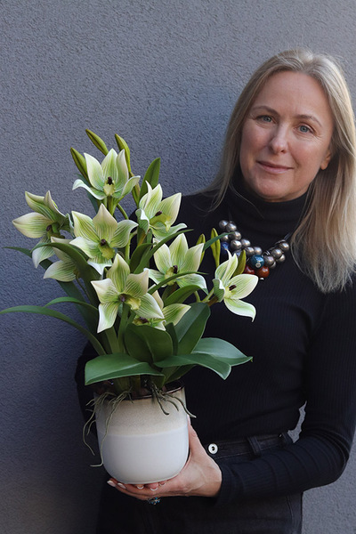 Harlow Green, gumowy storczyk w donicy