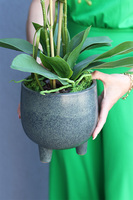 sztuczny storczyk w ceramicznej donicy, Paragwaj Nelista