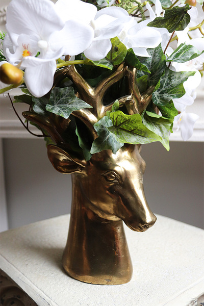 Golden Ren, kompozycja ze storczyków