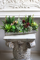 kompozycja sukulenty w długiej donicy, Hektor D, dł.48cm